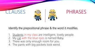 CLAUSES PHRASES
Identify the prepositional phrase & the word it modifies.
1. Students in my class are intelligent, lovely people.
2. My cat with the blue eyes is named Baby.
3. There was only enough room for you.
4. The pants with big pockets look weird.
 