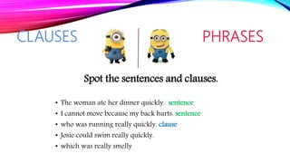 CLAUSES PHRASES
Spot the sentences and clauses.
• The woman ate her dinner quickly. sentence
• I cannot move because my back hurts. sentence
• who was running really quickly. clause
• Josie could swim really quickly.
• which was really smelly
 