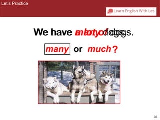 36 
We have ma alonty odf odgosg.s. 
Let’s Practice 
many or much? 
 
