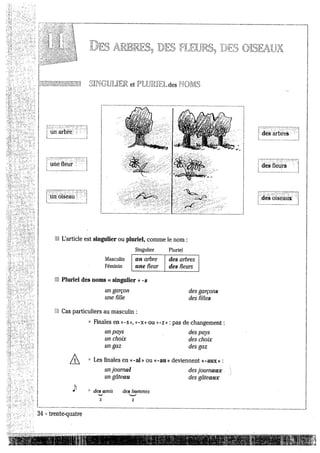 Grammaıre françaıs 400