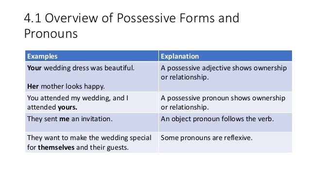 Harcourt Theme 3 Lesson 13 Grammar, Day 2 Plural Possessive Nouns ...