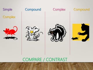 Simple Compound Complex Compound
Complex
COMPARE / CONTRAST
 