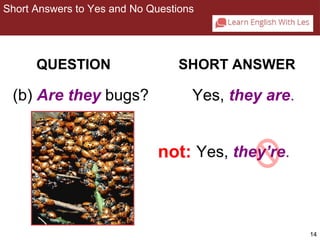 14 
Short Answers to Yes and No Questions 
2-2 SHORT ANSWERS TO YES/NO QUESTIONS 
QUESTION SHORT ANSWER 
(b) Are they bugs? Yes, they are. 
not: Yes, they’re. 
 