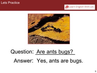 9 
Lets Practice 
2-1 Let’s Practice 
Question: _A_re_ _a_n_ts_ b_u_g_s_?_ 
Answer: Yes, ants are bugs. 
 