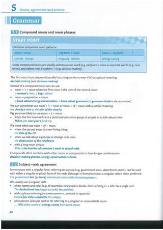 grammar vocabulary ADVANCED.pdf