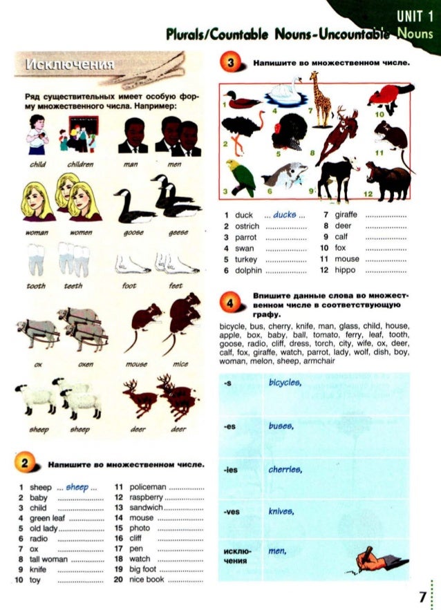 Grammarway 1
