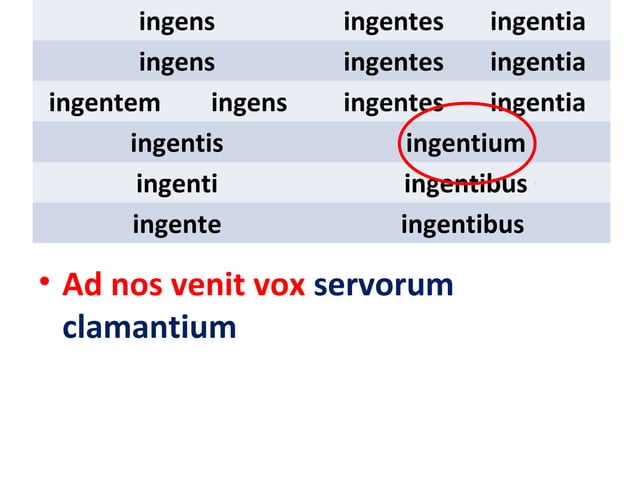 Grammatica de participio latino omni