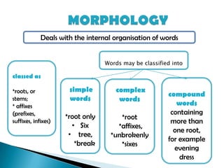 Deals with the internal organisation of words


                                  Words may be classified into

classed as

*roots, or            simple         complex
                                                        compound
stems;                words           words
* affixes                                                  words
(prefixes,                                               containing
                     *root only        *root
suffixes, infixes)                                       more than
                       • Six          *affixes,
                                                          one root,
                      • tree,       *unbrokenly
                                                        for example
                        *break         *sixes
                                                          evening
                                                            dress
 