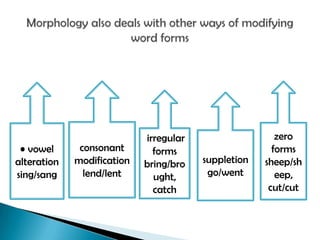 irregular                   zero
 • vowel      consonant       forms                    forms
alteration   modification   bring/bro   suppletion   sheep/sh
sing/sang      lend/lent      ught,      go/went        eep,
                              catch                   cut/cut
 