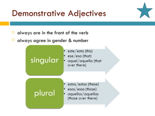 Demonstrative Adjectives always are in the front of the verb  always agree in gender & number 