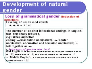 Development of natural gender Loss of grammatical gender  Reduction of inflections Leveling of unstressed vowels  a, o, u -> e [ə] The number of distinct inflectional endings in English was drastically reduced. e.g) Weak adjective ending  –a (masculine nominative),  –e (neuter nominative-accusative and feminine nominative) ⇒ fell together as  –e -  Indicator of gender was lost! Old English:  masculine nominative-accusative plurals ended in  –as , feminines in  –a , and short-stemmed neuters in  –u ⇒  Middle English:  a handful of nouns acquired the same plural endings  -es 