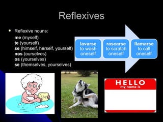 Reflexives
   Reflexive nouns:
    me (myself)
    te (yourself)
    se (himself, herself, yourself)
    nos (ourselves)
    os (yourselves)
    se (themselves, yourselves)
 