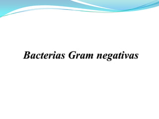 Bacterias Gram negativas
 