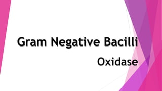 Gram Negative Bacilli
Oxidase
 