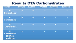 Results CTA Carbohydrates
SPECIES OXIDASE GLUCOSE MALTOSE LACTOSE SUCROSE
N.
Gonorrheae
+ + - - -
N.
Meningitidis
+ + + - -
N.
Lactamica
+ + + + -
N.
Catarrhalis
(DNAse
positive)
+ - - - -
 