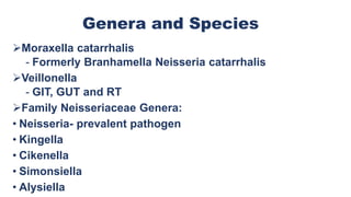 Genera and Species
Moraxella catarrhalis
- Formerly Branhamella Neisseria catarrhalis
Veillonella
- GIT, GUT and RT
Family Neisseriaceae Genera:
• Neisseria- prevalent pathogen
• Kingella
• Cikenella
• Simonsiella
• Alysiella
 
