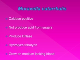  Oxidase positive
 Not produce acid from sugars
 Produce DNase
 Hydrolyze tributyrin
 Grow on medium lacking blood
 