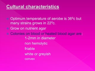 Cultural characteristics
 Optimum temperature of aerobe is 360c but
many strains grows in 220c.
 Grow on nutrient agar
 Colonies on blood or heated blood agar are;
1-2mm in diameter
non hemolytic
friable
white or greyish
convex
 