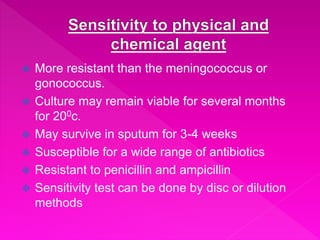  More resistant than the meningococcus or
gonococcus.
 Culture may remain viable for several months
for 200c.
 May survive in sputum for 3-4 weeks
 Susceptible for a wide range of antibiotics
 Resistant to penicillin and ampicillin
 Sensitivity test can be done by disc or dilution
methods
 