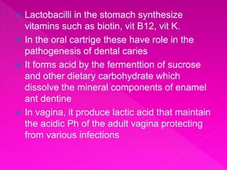  Lactobacilli in the stomach synthesize
vitamins such as biotin, vit B12, vit K.
 In the oral cartrige these have role in the
pathogenesis of dental caries
 It forms acid by the fermenttion of sucrose
and other dietary carbohydrate which
dissolve the mineral components of enamel
ant dentine
 In vagina, it produce lactic acid that maintain
the acidic Ph of the adult vagina protecting
from various infections
 