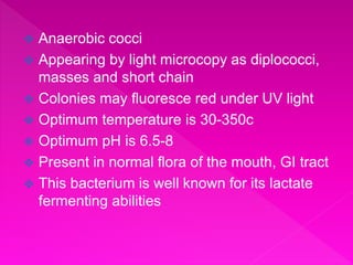  Anaerobic cocci
 Appearing by light microcopy as diplococci,
masses and short chain
 Colonies may fluoresce red under UV light
 Optimum temperature is 30-350c
 Optimum pH is 6.5-8
 Present in normal flora of the mouth, GI tract
 This bacterium is well known for its lactate
fermenting abilities
 