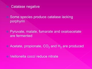  Catalase negative
 Some species produce catalase lacking
porphyrin
 Pyruvate, malate, fumarate and oxaloacetate
are fermented
 Acetate, propionate, CO2 and H2 are produced
 Veillonella cocci reduce nitrate
 