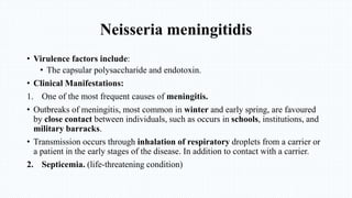 Neisseria meningitidis
• Virulence factors include:
• The capsular polysaccharide and endotoxin.
• Clinical Manifestations:
1. One of the most frequent causes of meningitis.
• Outbreaks of meningitis, most common in winter and early spring, are favoured
by close contact between individuals, such as occurs in schools, institutions, and
military barracks.
• Transmission occurs through inhalation of respiratory droplets from a carrier or
a patient in the early stages of the disease. In addition to contact with a carrier.
2. Septicemia. (life-threatening condition)
 