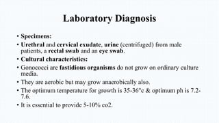 Laboratory Diagnosis
• Specimens:
• Urethral and cervical exudate, urine (centrifuged) from male
patients, a rectal swab and an eye swab.
• Cultural characteristics:
• Gonococci are fastidious organisms do not grow on ordinary culture
media.
• They are aerobic but may grow anaerobically also.
• The optimum temperature for growth is 35-36°c & optimum ph is 7.2-
7.6.
• It is essential to provide 5-10% co2.
 