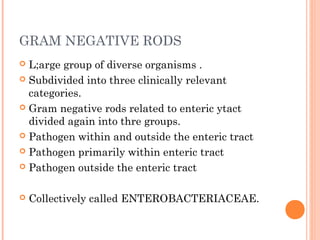 GRAM NEGATIVE RODS
 L;arge group of diverse organisms .
 Subdivided into three clinically relevant
categories.
 Gram negative rods related to enteric ytact
divided again into thre groups.
 Pathogen within and outside the enteric tract
 Pathogen primarily within enteric tract
 Pathogen outside the enteric tract
 Collectively called ENTEROBACTERIACEAE.
 