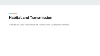 Habitat and Transmission
Habitat is the upper respiratory tract. Transmission is via respiratory droplets.
 