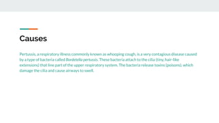 Causes
Pertussis, a respiratory illness commonly known as whooping cough, is a very contagious disease caused
by a type of bacteria called Bordetella pertussis. These bacteria attach to the cilia (tiny, hair-like
extensions) that line part of the upper respiratory system. The bacteria release toxins (poisons), which
damage the cilia and cause airways to swell.
 