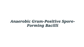 Anaerobic Gram-Positive Spore-
Forming Bacilli
 