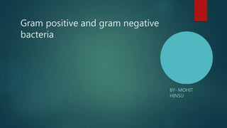 Gram positive and gram negative
bacteria
BY- MOHIT
HINSU
 