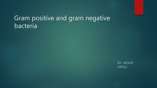Gram positive and gram negative
bacteria
BY- MOHIT
HINSU
 