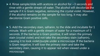  4. Rinse sample/slide with acetone or alcohol for ~3 seconds and
rinse with a gentle stream of water. The alcohol will decolorize the
sample if it is Gram negative, removing the crystal violet. However,
if the alcohol remains on the sample for too long, it may also
decolorize Gram positive cells.
 5. Add the secondary stain, safranin, to the slide and incubate for 1
minute. Wash with a gentle stream of water for a maximum of 5
seconds. If the bacteria is Gram positive, it will retain the primary
stain (crystal violet) and not take the secondary stain (safranin),
causing it to look violet/purple under a microscope. If the bacteria
is Gram negative, it will lose the primary stain and take the
secondary stain, causing it to appear red when viewed under a
microscope.
 