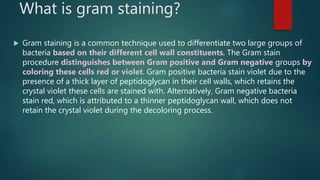 Gram positive and gram negative bacteria