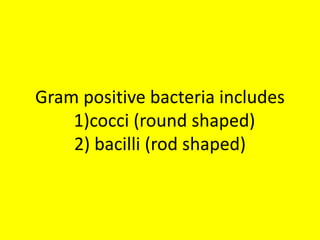 Gram positive bacteria includes
1)cocci (round shaped)
2) bacilli (rod shaped)
 