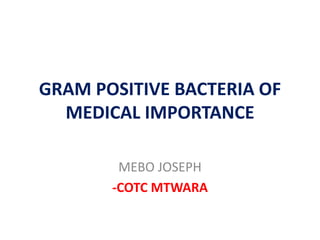GRAM POSITIVE BACTERIA OF
MEDICAL IMPORTANCE
MEBO JOSEPH
-COTC MTWARA
 