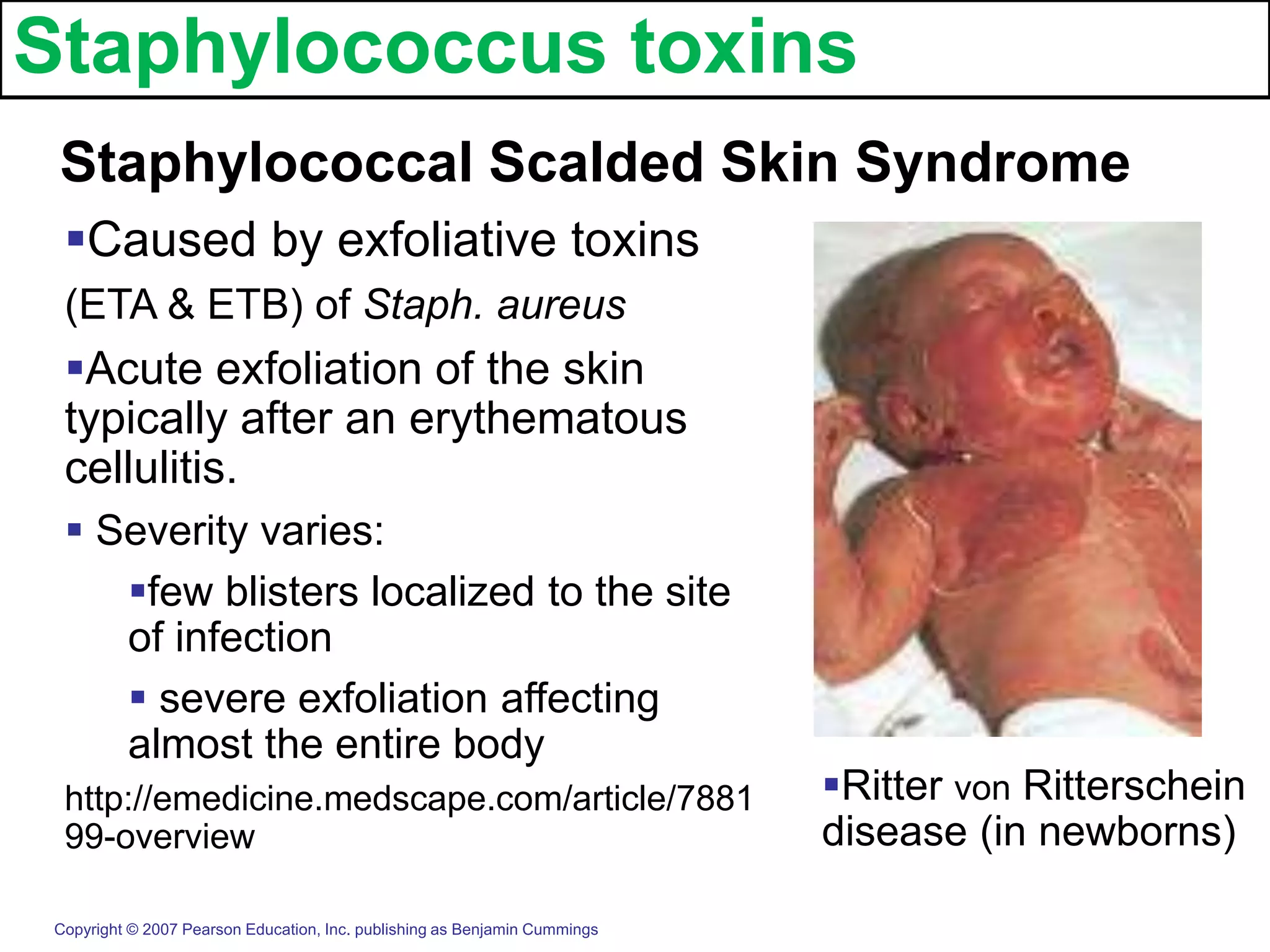 Gram positive cocci | PPT