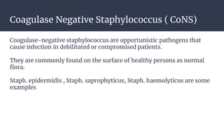 Gram positive cocci - Staphylococcus.pptx