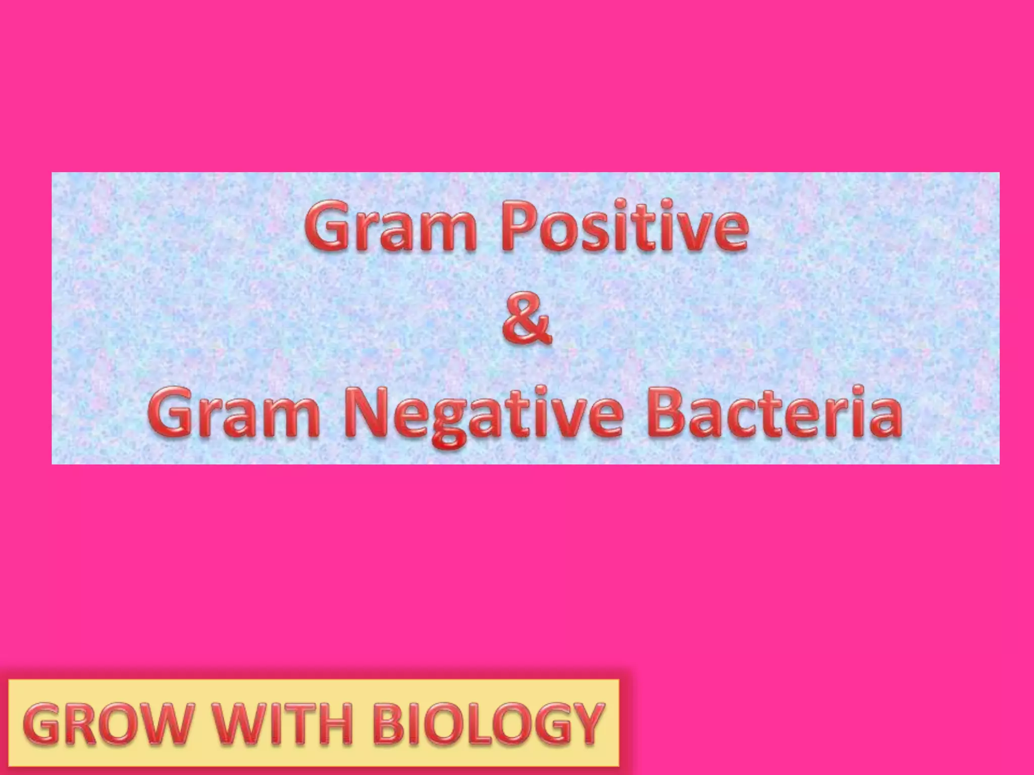 Gram positive & Gram negative. | PPT