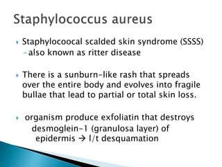 Gram positive infections | PPTX