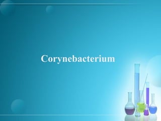Corynebacterium
 