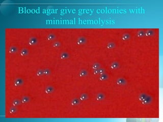 Blood agar give grey colonies with
minimal hemolysis
 