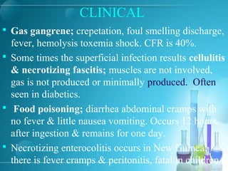 CLINICAL
 Gas gangrene; crepetation, foul smelling discharge,
fever, hemolysis toxemia shock. CFR is 40%.
 Some times the superficial infection results cellulitis
& necrotizing fascitis; muscles are not involved,
gas is not produced or minimally produced. Often
seen in diabetics.
 Food poisoning; diarrhea abdominal cramps with
no fever & little nausea vomiting. Occurs 12 hours
after ingestion & remains for one day.
 Necrotizing enterocolitis occurs in New Guinea;
there is fever cramps & peritonitis, fatal in children.
 