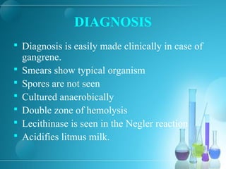 DIAGNOSIS
 Diagnosis is easily made clinically in case of
gangrene.
 Smears show typical organism
 Spores are not seen
 Cultured anaerobically
 Double zone of hemolysis
 Lecithinase is seen in the Negler reaction
 Acidifies litmus milk.
 