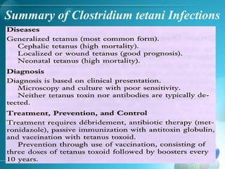Summary of Clostridium tetani Infections
 