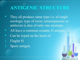 ANTIGENIC STRUCTURE
 They all produce same type i.e. of single
serologic type of toxin; tetenospasmin so
antitoxin is also of only one serotype.
 All have a common somatic O antigen
 Can be typed on the basis of
1. Flagler H
2. Spore antigen.
 
