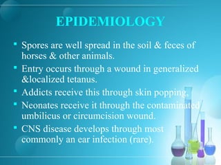 EPIDEMIOLOGY
 Spores are well spread in the soil & feces of
horses & other animals.
 Entry occurs through a wound in generalized
&localized tetanus.
 Addicts receive this through skin popping,
 Neonates receive it through the contaminated
umbilicus or circumcision wound.
 CNS disease develops through most
commonly an ear infection (rare).
 