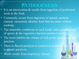 PATHOGENESIS
 It is an intoxication & results from ingestion of preformed
toxin in the food.
 Commonly occurs from ingestion of spiced, smoked,
canned, vacuumed, alkaline food that are eaten without
cooking.
 The anaerobic conditions in such foods cause germination
of spores & the vegetative bacteria produce toxins.
 The toxin inhibits the release of Ach at the neuromuscular
junction.
 There is flaccid paralysis is contrast to tetanus where there
is spastic paralysis.
 Death results from respiratory failure.
 